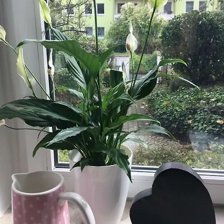 Gemütliche Im Erdgeschoss- Jenaer Straße Apartamento *