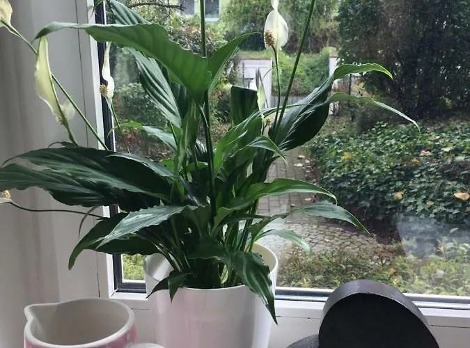 Gemuetliche Im Erdgeschoss- Jenaer Strasse דירה *